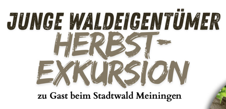 Herbstexkursion Junge Waldeigentümer